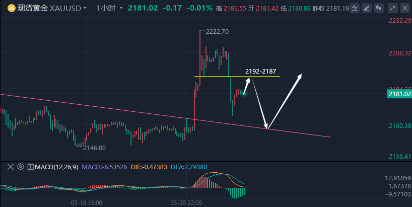 黄金投资新视角，黄金实时行情走势图解析