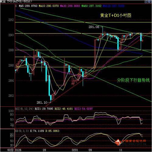 今日金价走势，市场动态与投资策略分析