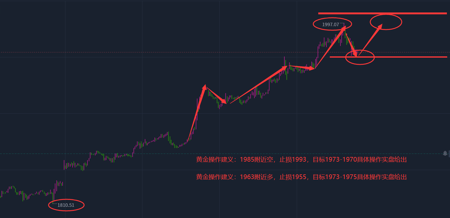 今日金价，市场动态与投资策略分析