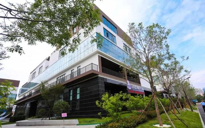 威海黄金回收价格，影响因数与市场动态解析