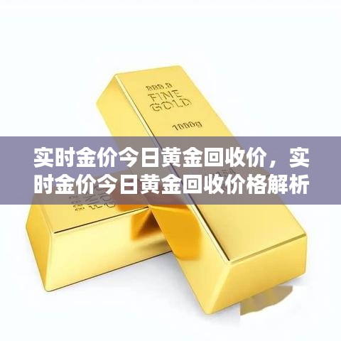 今日金价聚焦，黄金回收市场动态与价格解析