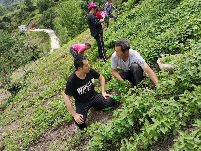 成都黄金回收店地址全攻略，安心、便捷的黄金变现选择