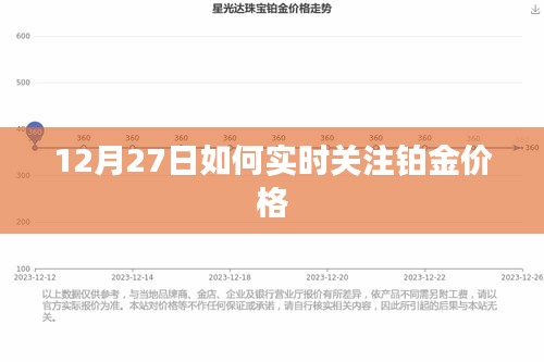 今日铂金回收价格一览，市场动态与价值解析