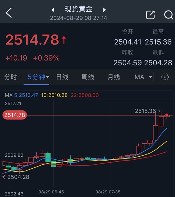 黄金投资新视角，解锁黄金实时行情与今日金价的投资策略