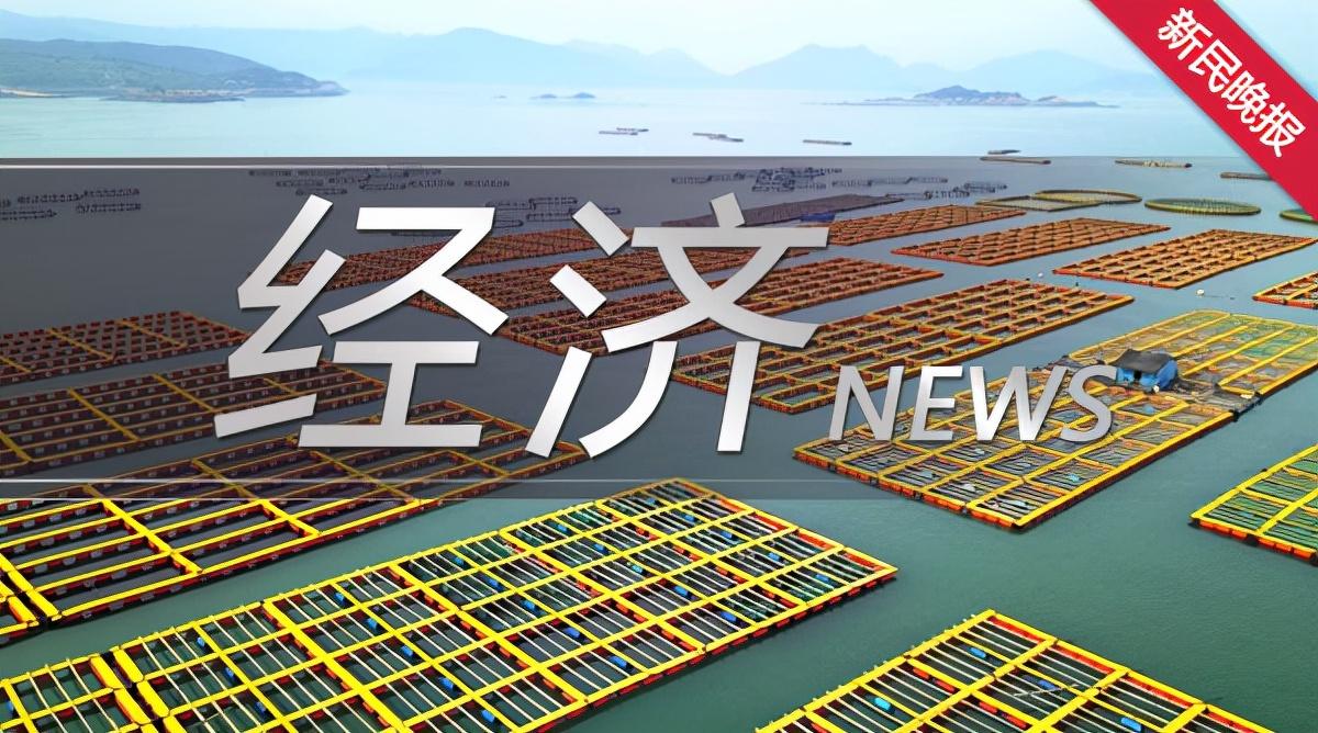 今日国际金价与黄金价格，波动背后的市场逻辑与投资考量