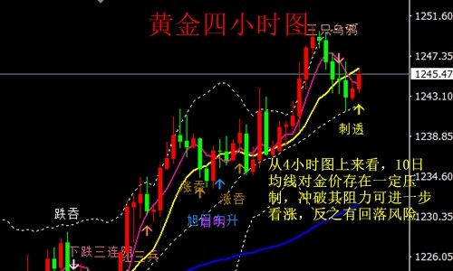 12月黄金价格走势图，波动背后的市场逻辑与未来展望
