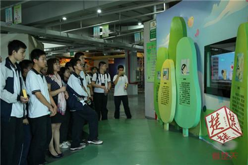 最新黄金走势分析建议，把握市场脉搏，稳健投资策略