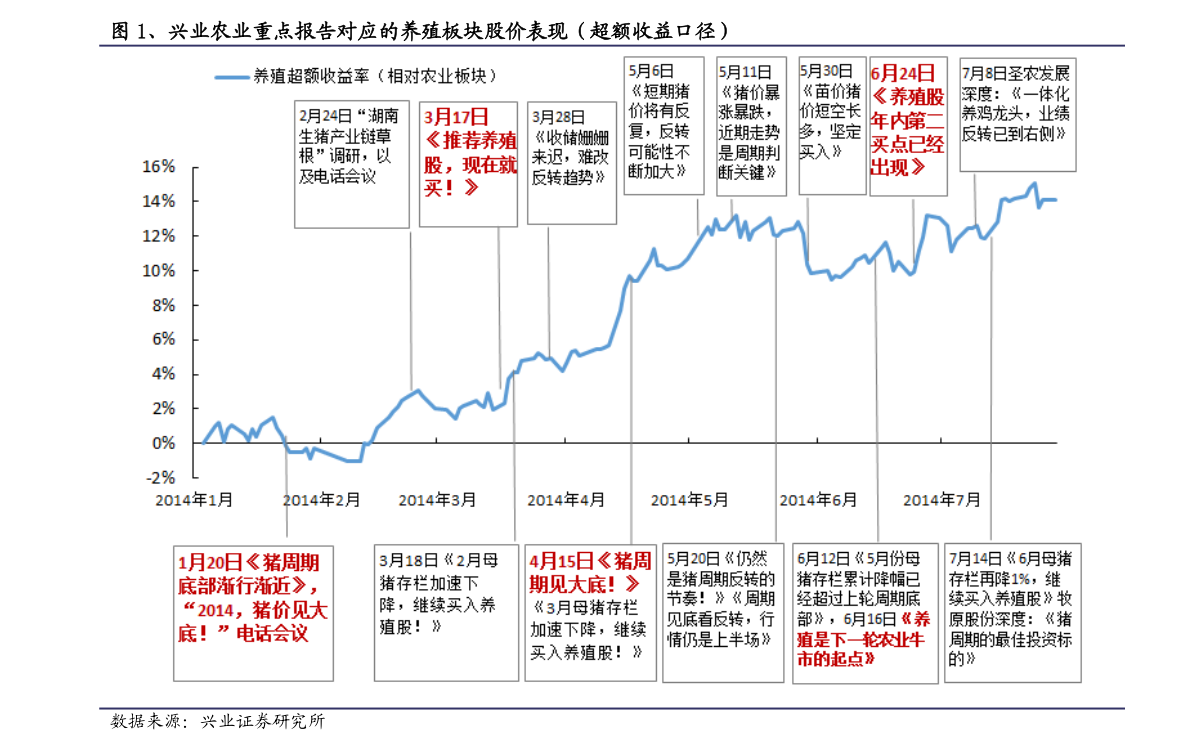 上海黄金今日价格