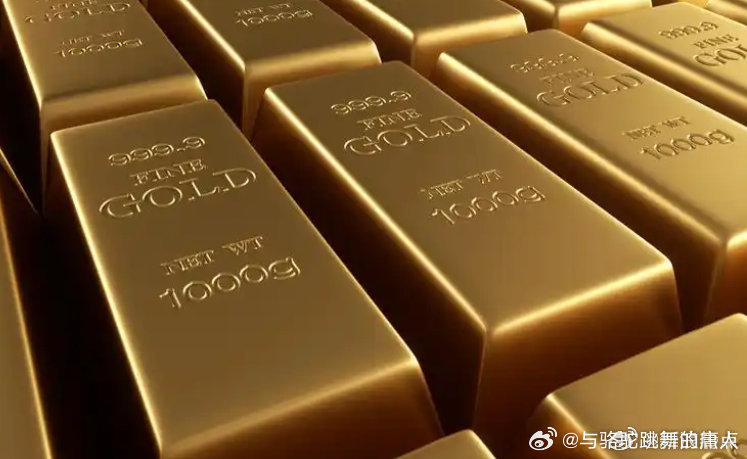 投资者指南 第5页