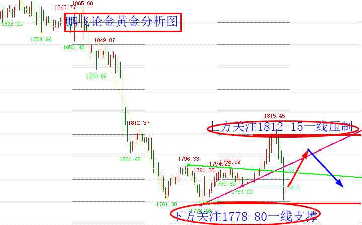 今日金市观察，老庙黄金价格波动与投资策略分析