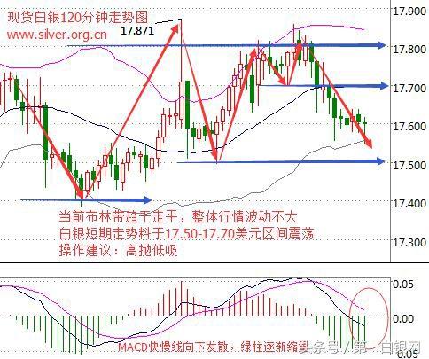 1克白银，价格波动与市场动态的微观视角