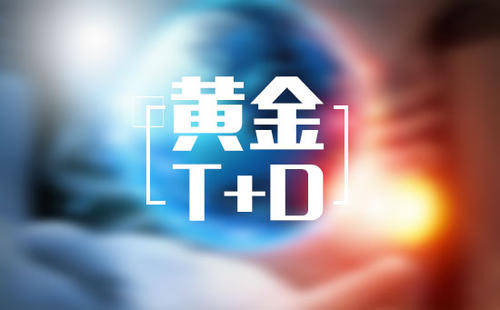 上海黄金价格交易所实时行情，洞察市场脉动，把握投资机遇