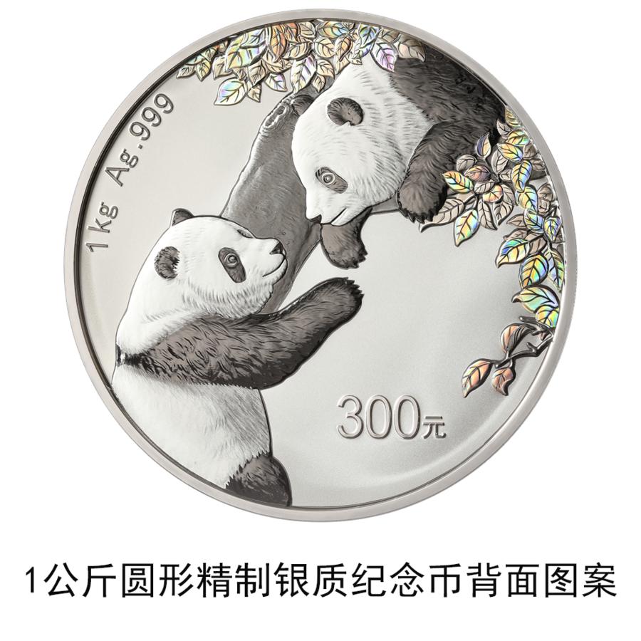 纯银价格走势与市场分析，2023年每克价格解析