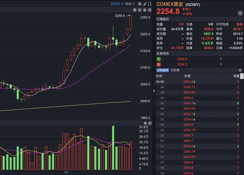 黄金热潮，金价持续上涨背后的多重因素分析