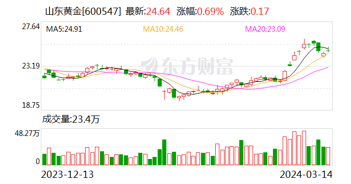 山东黄金股票，黄金市场的璀璨明珠与投资者的智慧选择
