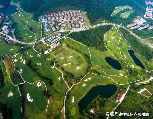 今日金价大观，各品牌金价最新行情解析