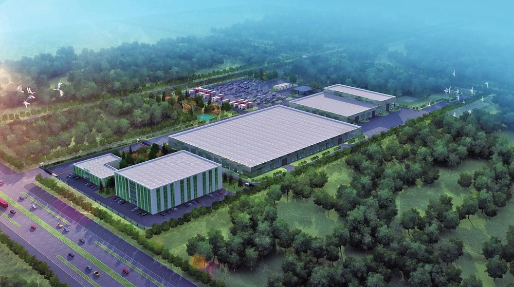 黄金回收价格趋势走向图，透视市场动态与投资策略