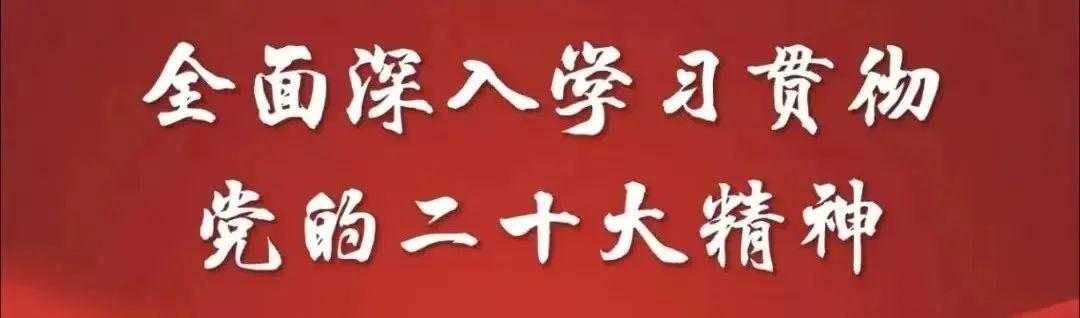 纸白银价格，2023年今日最新动态与市场分析