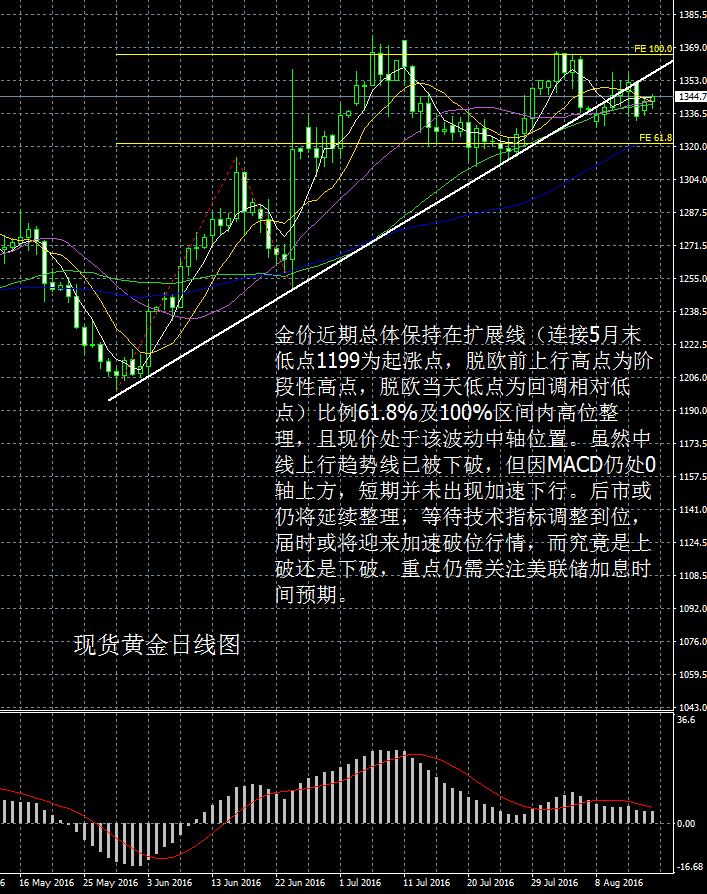 最新现货黄金价格动态，市场波动与投资策略分析