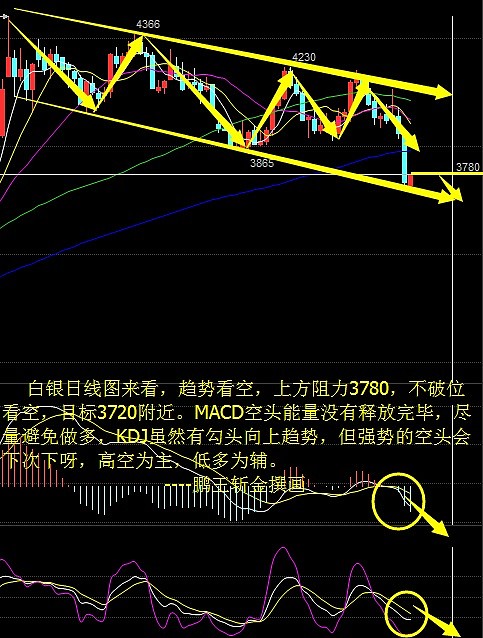 白银走势今日行情分析，金投网深度解读