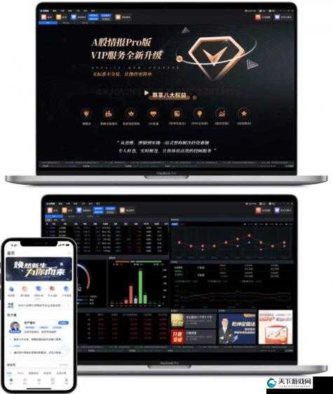 黄金软件，免费下载与安装的智慧之选
