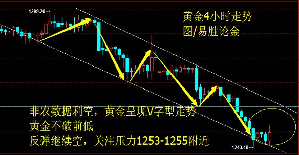 近期黄金走势深度剖析，波动与趋势的交织