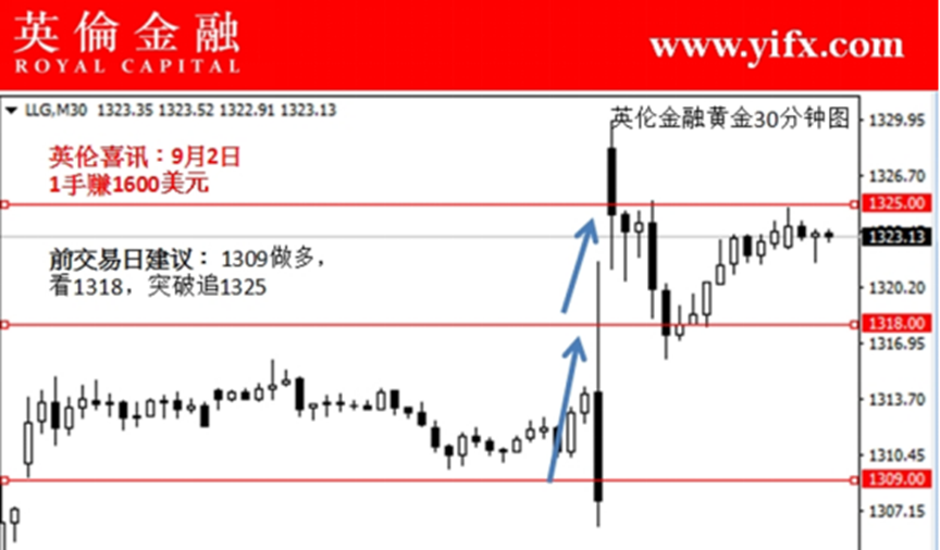 金投网行情，洞察市场脉搏，把握投资先机