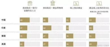 国内黄金交易平台概览，选择与比较