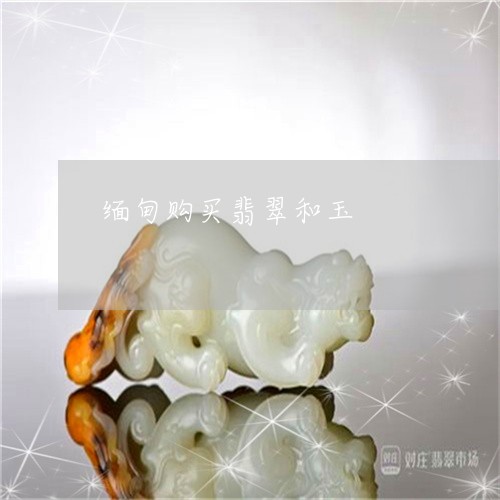 卖掉白金项链，回收市场的选择与注意事项