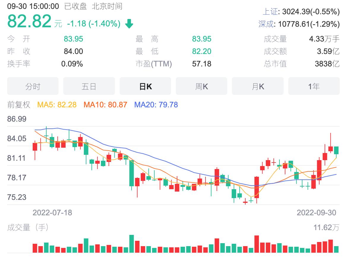 今日金条价格查询，银行渠道的权威与便捷