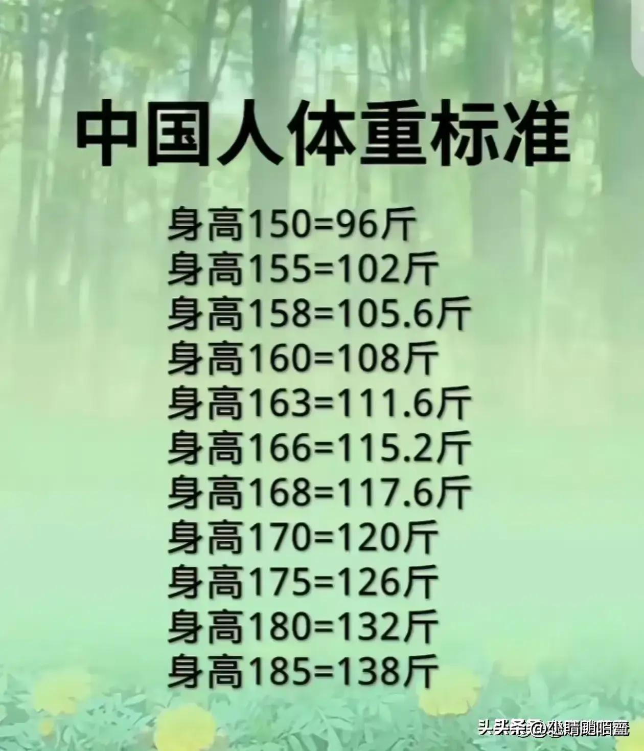 人民币汇率换算器，现代金融生活中的实用工具