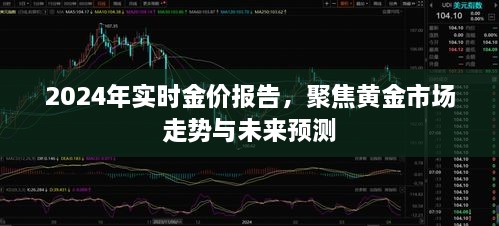 今日金价，2024年黄金市场的风云变幻与投资策略