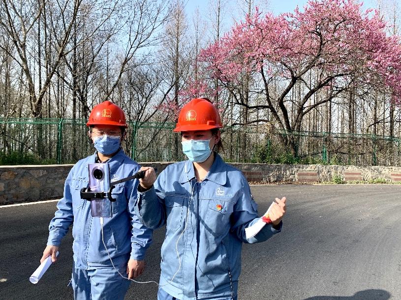 全球能源脉动，国际原油行情走势图深度解析