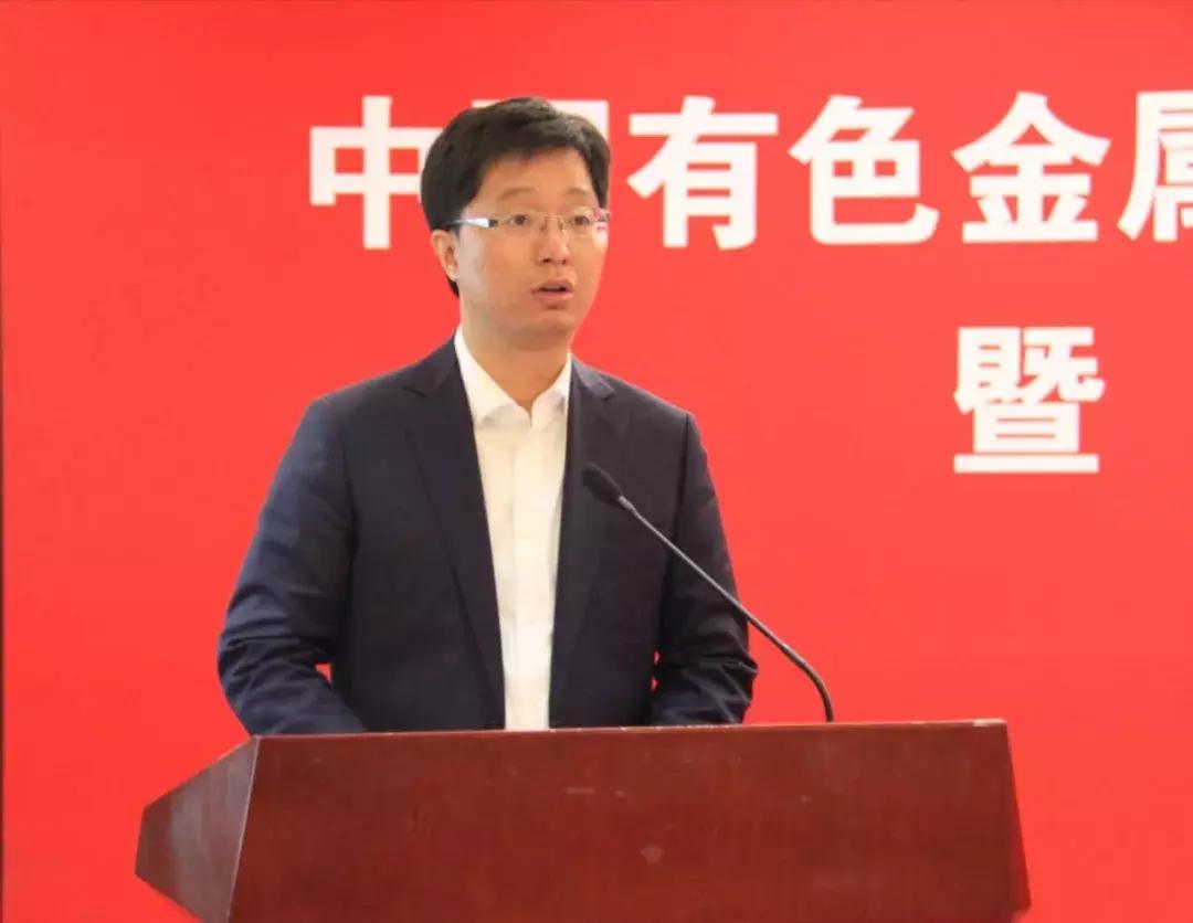 探秘上海有色金属网价格，市场动态与影响因素深度剖析