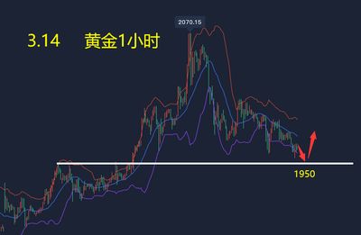 2023年黄金市场，涨跌之争的深度剖析