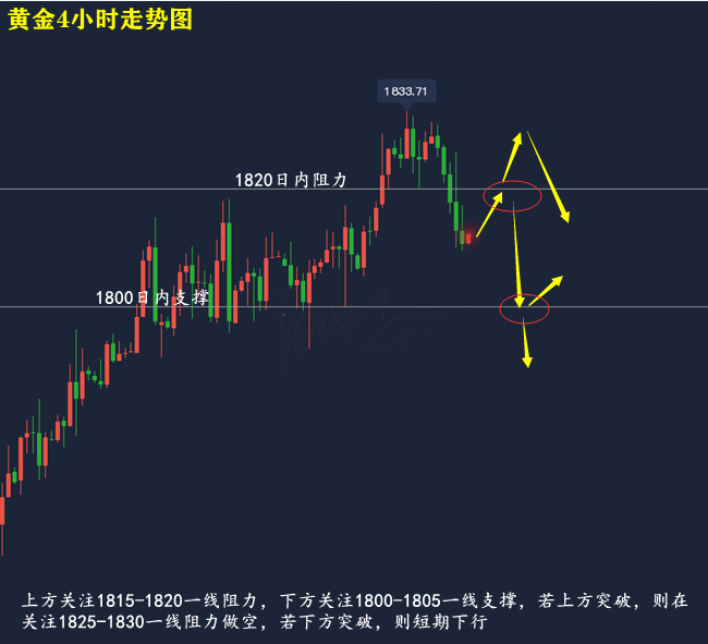 近期金价格行情，波动与趋势的深度解析