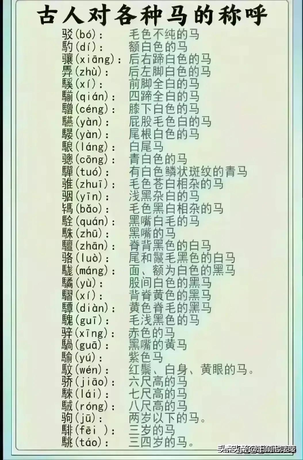 2024年8月金价走势预测，波动与机遇并存