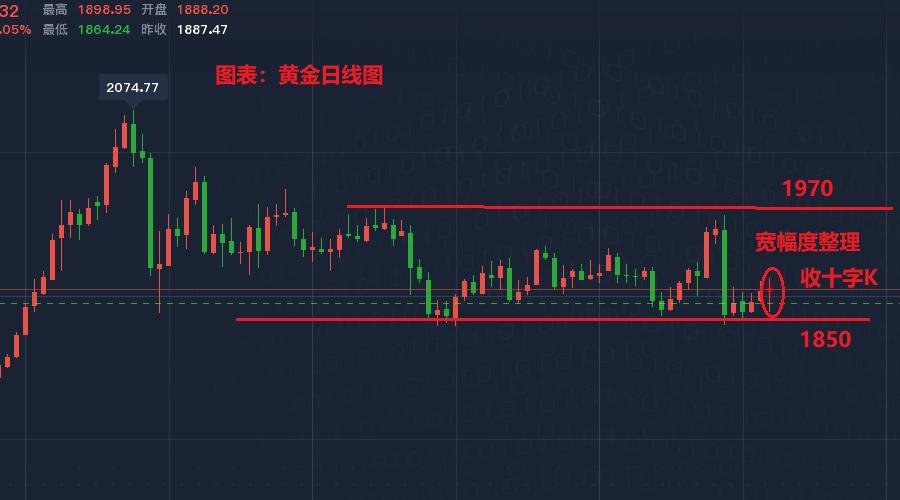 黄金今日现货价格走势图，市场动态与投资策略分析