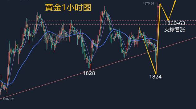 黄金走势图，第一黄金网上的投资指南