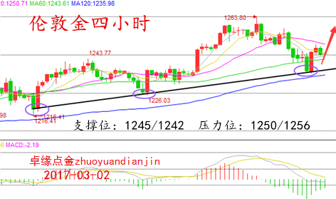 最新实时原油走势图，全球能源市场的脉动与展望