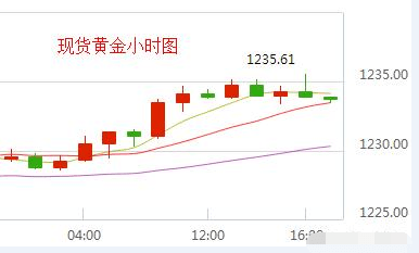 今日国际白金金价，市场动态与投资策略分析