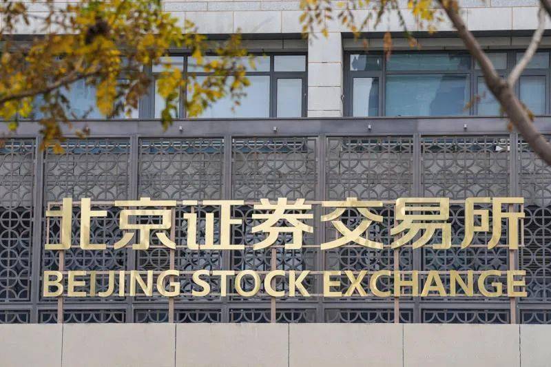 探索上海贵金属交易所中心官网，贵金属市场的风向标