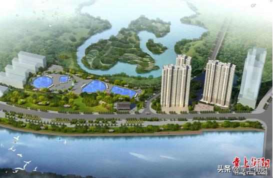山东黄金股吧，投资者的黄金宝地与市场风云