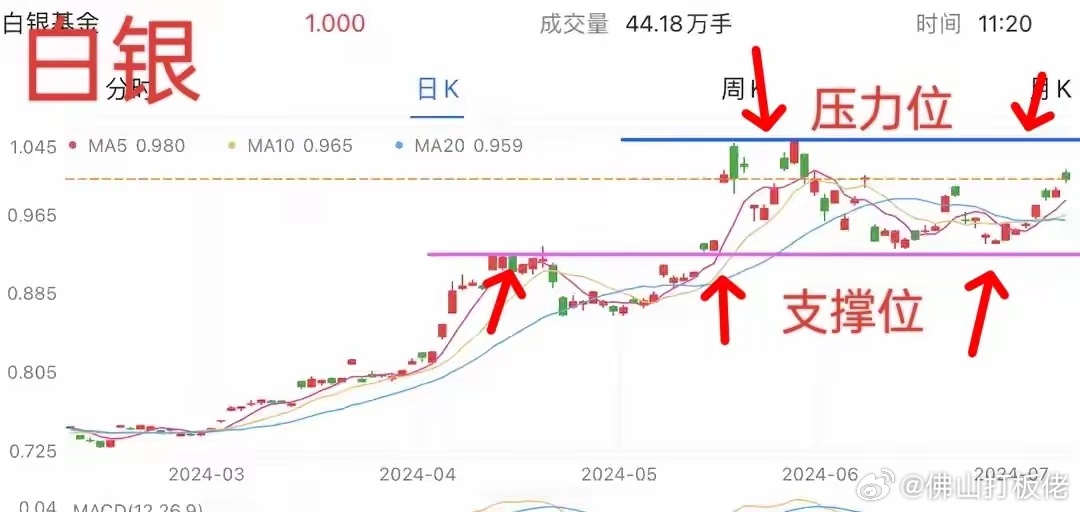 今日银价走势分析，中国白银网视角下的市场动态