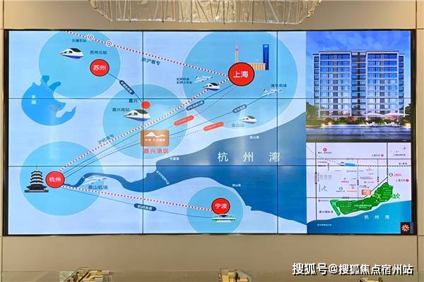 探索中国纸黄金市场，中国纸黄金官网首页深度解析