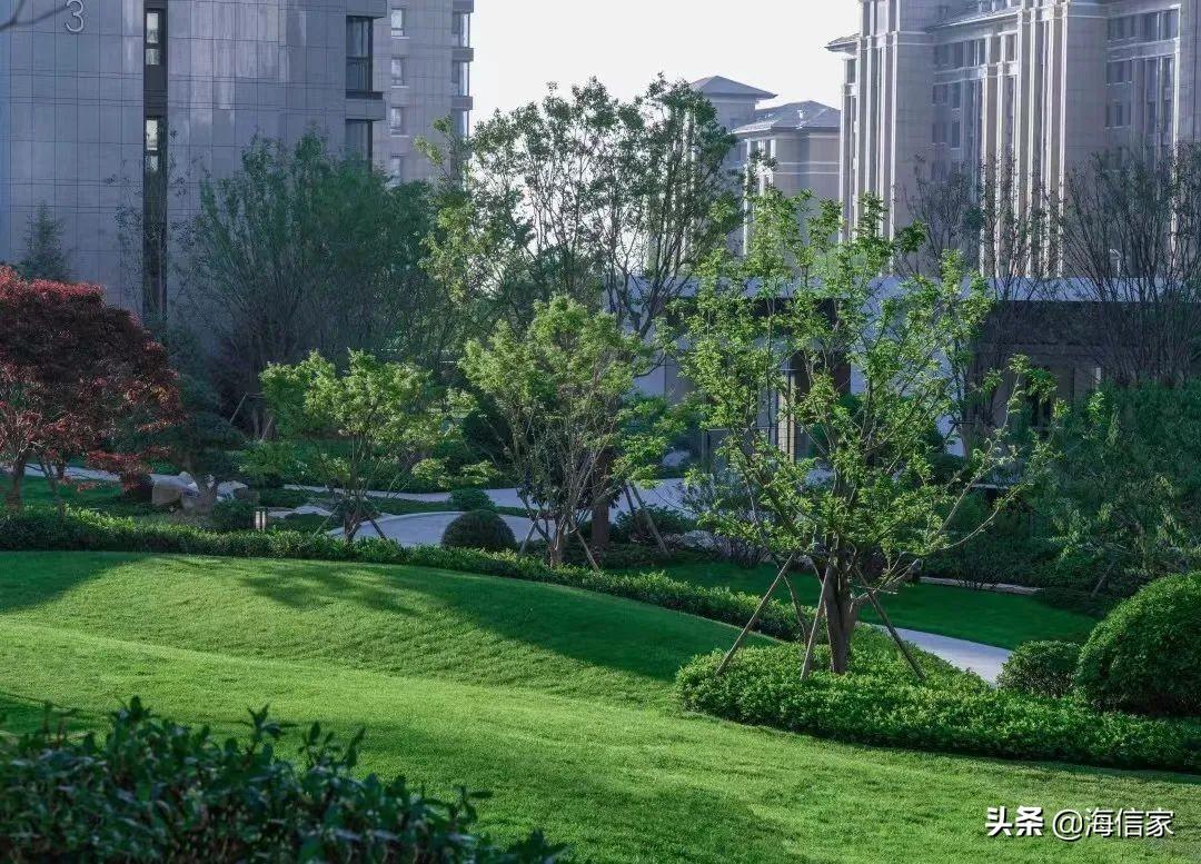 铂金价格，2022年一克铂金的价值与市场动态