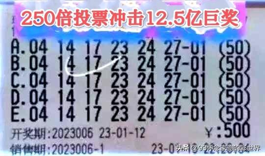 三期必出—彩票投注中的理性与期待三期必出三期必出持一