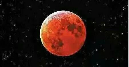 2025年3月 第303页