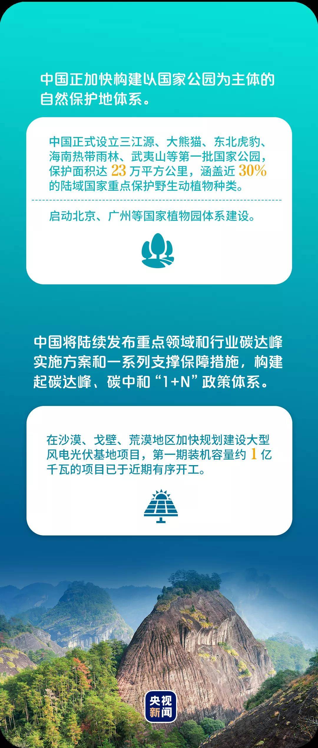管家婆一句话，玄机图中的秘密管家婆一句话中玄机
