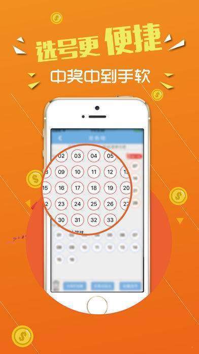 探索数字背后的奥秘，487王中王的鉄算盘开奖结果4887王中王鉄算盘开奖结果b+